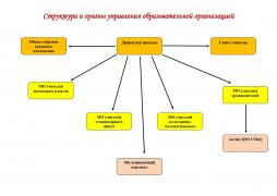 структура органов самоуправления